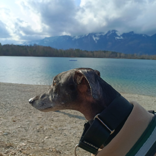 PHOTO-2023-02-19-15-25-53