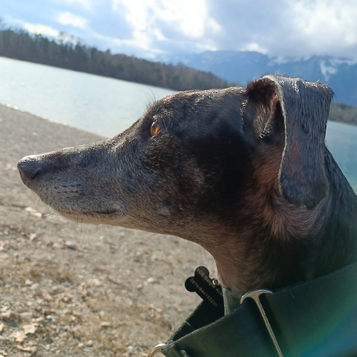 PHOTO-2023-02-19-15-25-54