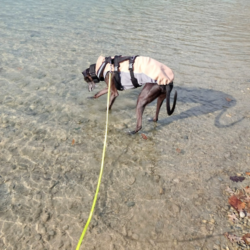 PHOTO-2023-02-19-15-25-55