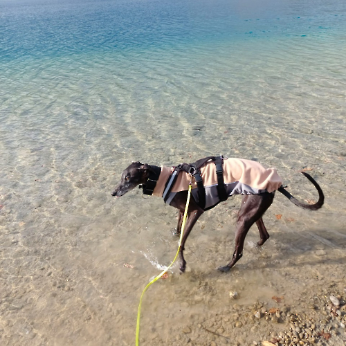 PHOTO-2023-02-19-15-25-57