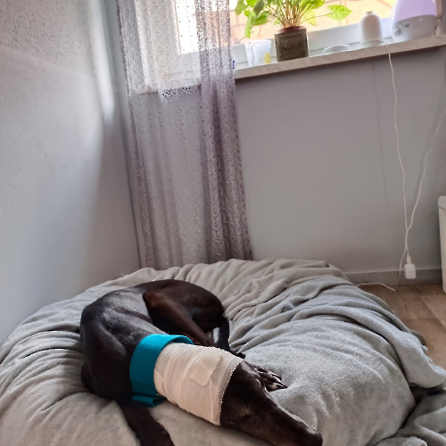 PHOTO-2023-02-25-21-25-04