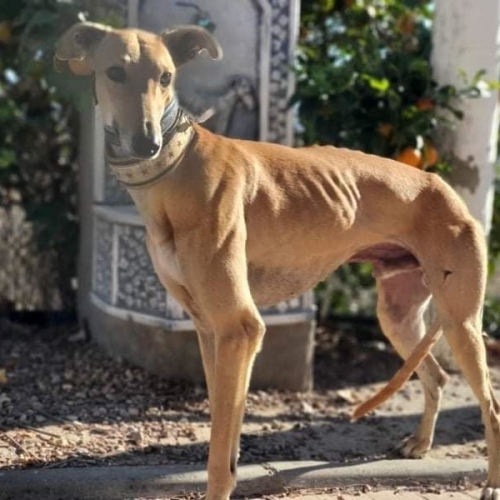 273466444_4453834011387340_4848008369487775259_n