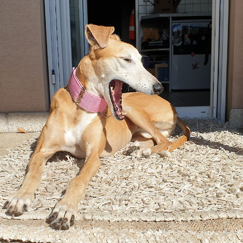 431866396_720865900197248_8622940495785625362_n