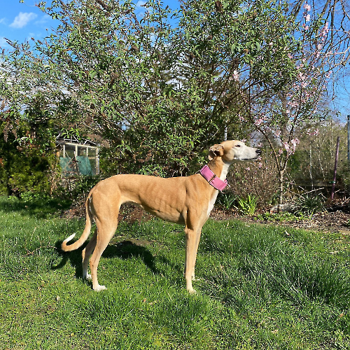 431914442_720865833530588_6520883138409960834_n