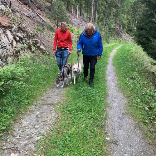 284675348_4751772798260125_3066095036271066327_n