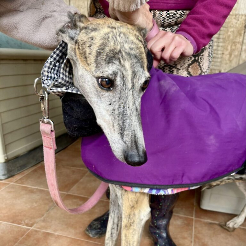 IMG_2477-scaled-1-768x771