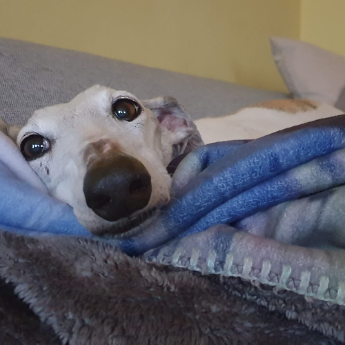 335244162_3494754480804462_4839234049176854840_n