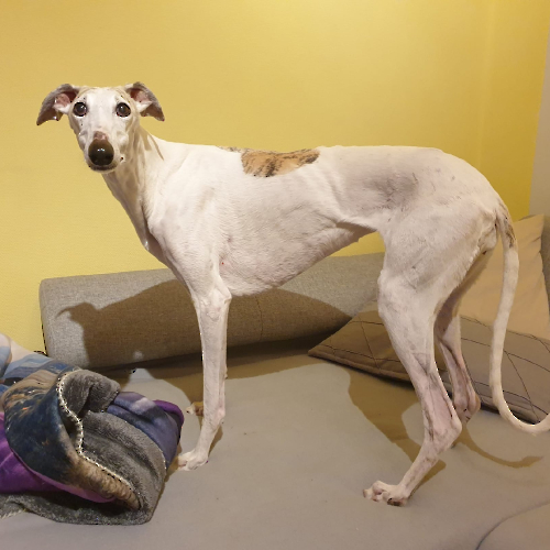 335609086_3117079945260228_2361808549232497962_n