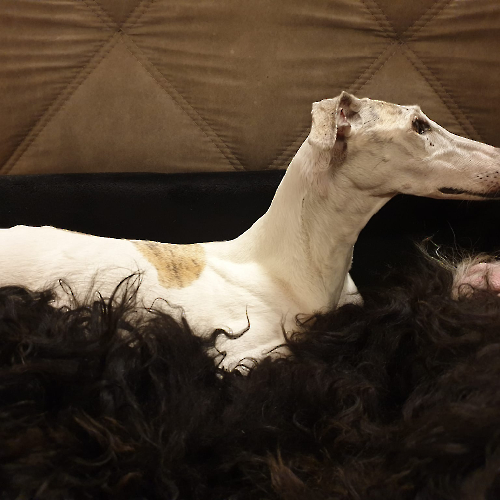 335869644_886695779110220_240570087619700192_n