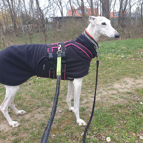 336355629_1286682915264666_2927766369441015669_n