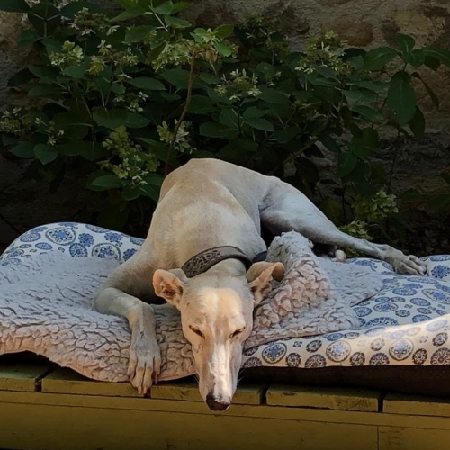 242690602_3992575070846572_3333386280940043147_n