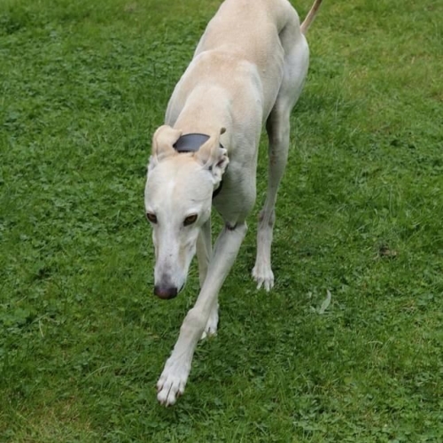 PHOTO-2021-07-13-13-16-45 2