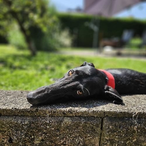 535407499_1071629321787569_5192177459529676194_n