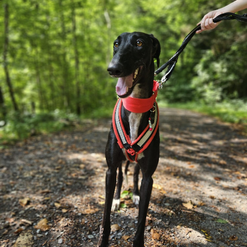 536275971_1071629611787540_9159068399148777236_n