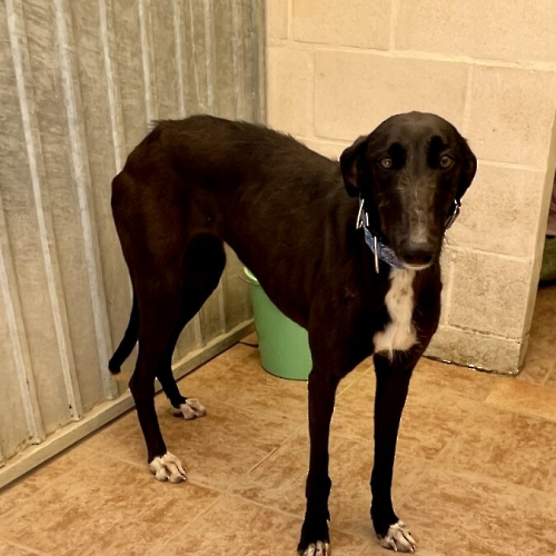 IMG_9261-e1748160922936