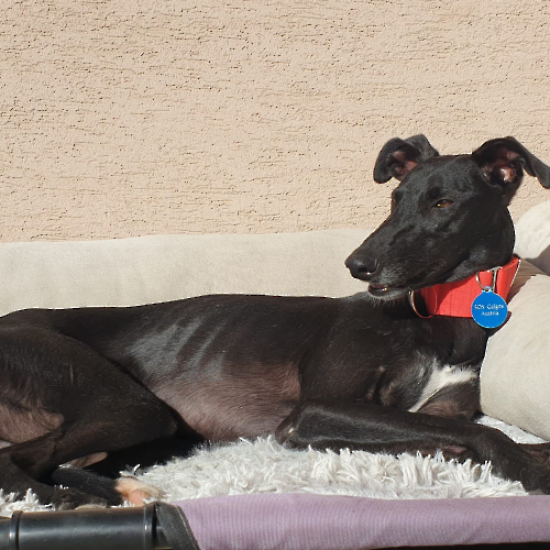 PHOTO-2024-09-24-07-29-08