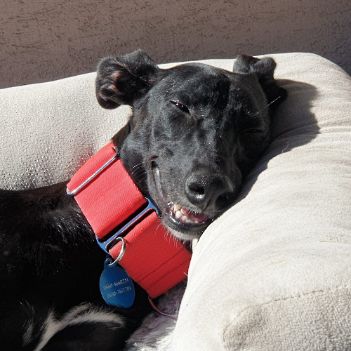 PHOTO-2024-09-24-07-30-47