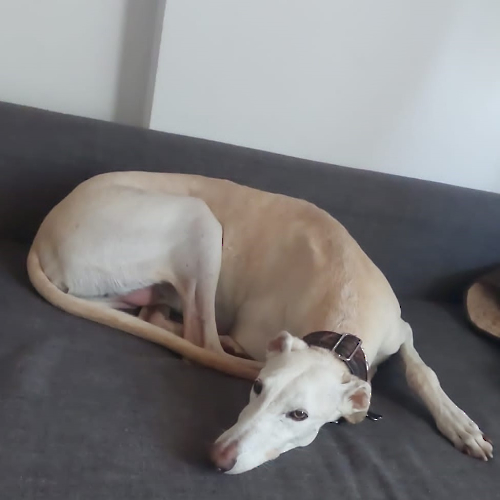 PHOTO-2023-08-12-10-38-37