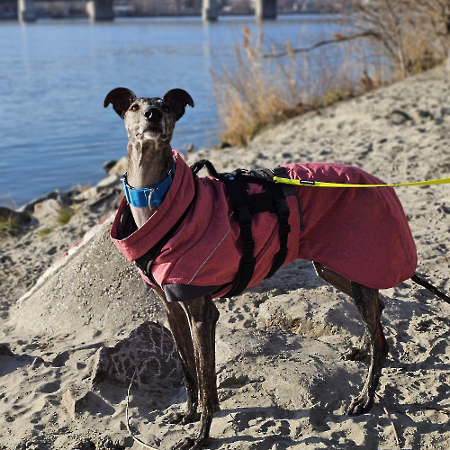 476345145_930760095874493_2029378782944055770_n