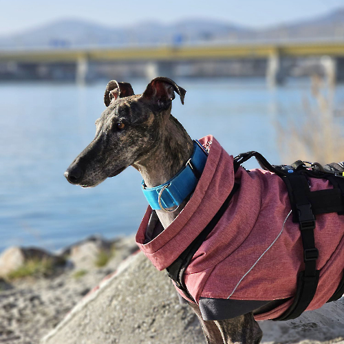 476890048_930759865874516_2831740943022426772_n