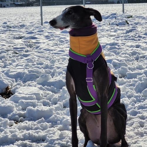 20211212_113249 (002)